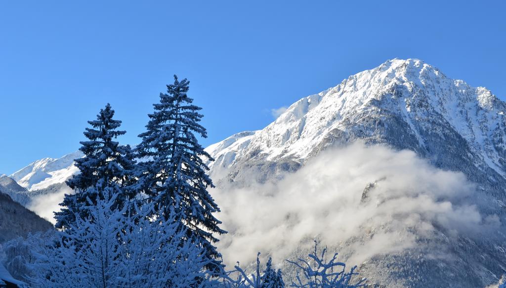 Auberge La Douce Montagne Allemont Kültér fotó